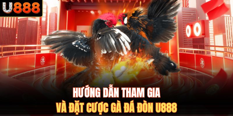 Hướng dẫn tham gia và đặt cược gà đá đòn U888